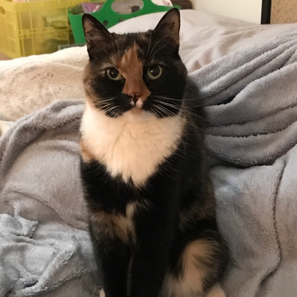 Meet your Posher, Karen